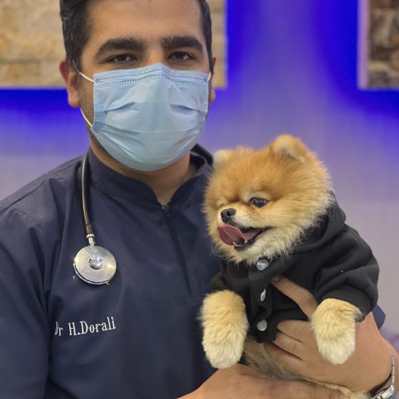 دکتر حسین درعلی