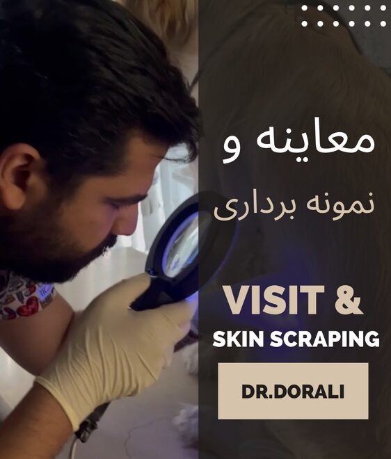 معاینه و نمونه برداری