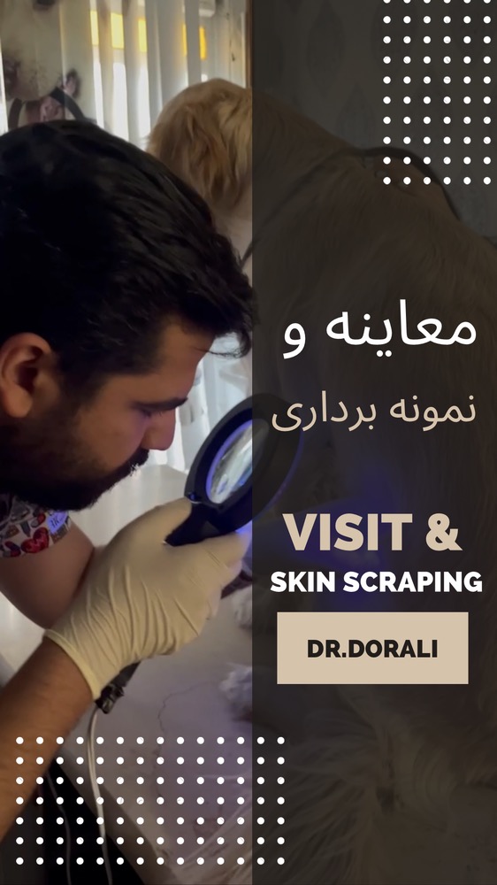 معاینه و نمونه برداری