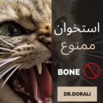 استخوان دادن به حیوانات
