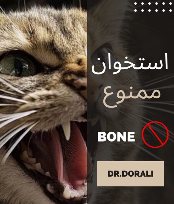 دادن استخوان به حیوانات خانگی