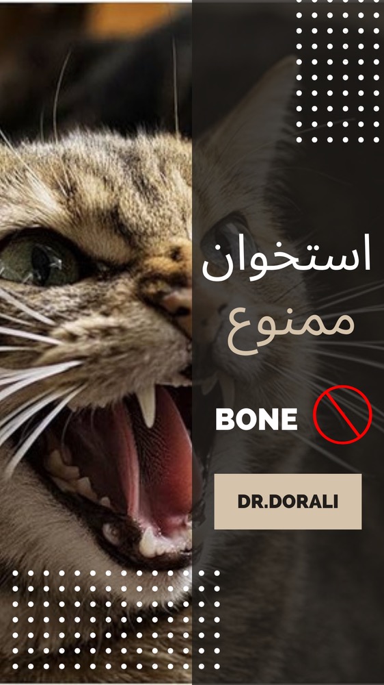 دادن استخوان به حیوانات خانگی