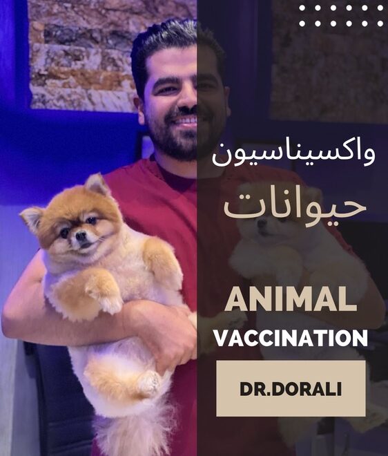 واکسیناسیون در سگ و گربه