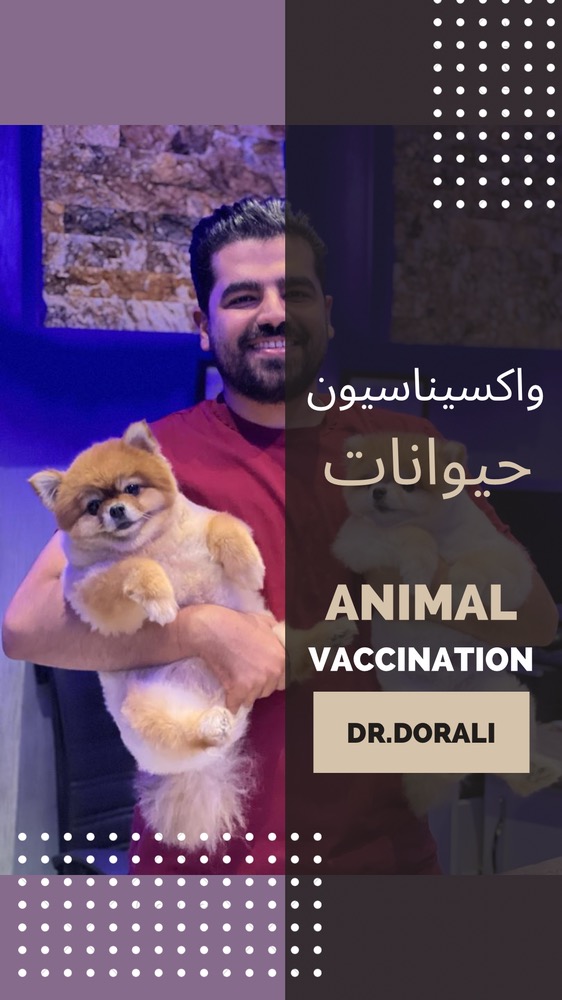 واکسیناسیون در سگ و گربه